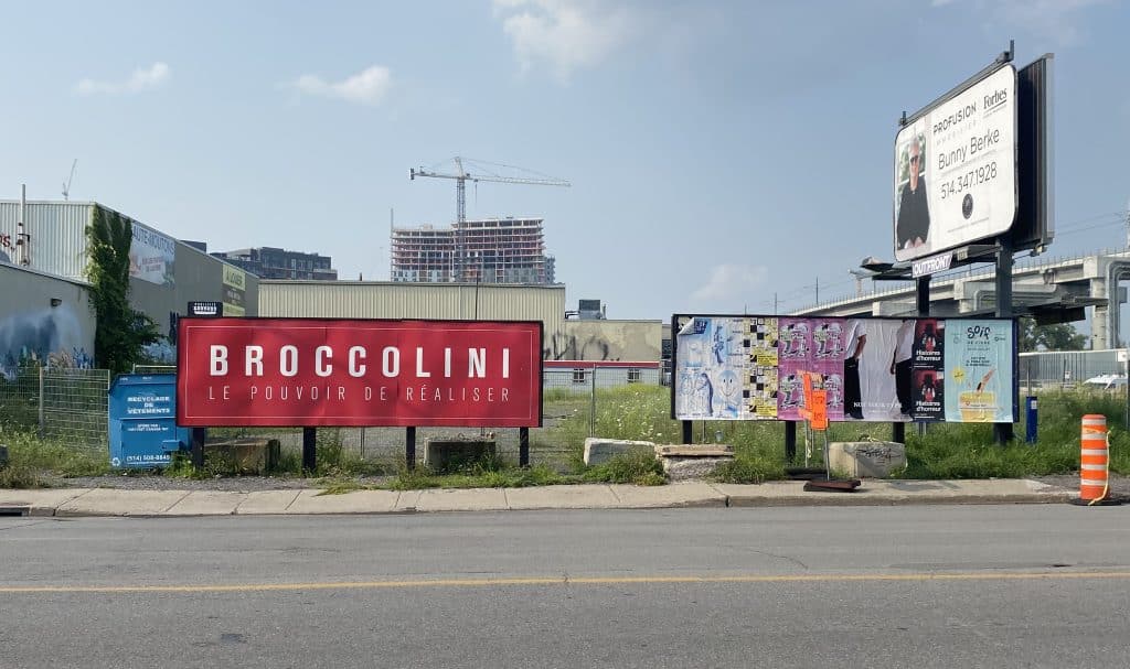 A vacant lot in Bridge-Bonaventure.